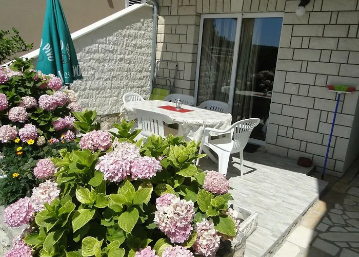 Mir * 프리모스턴